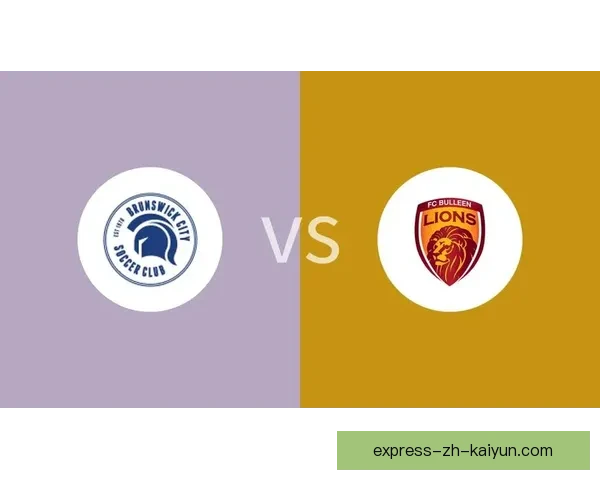 布伦瑞克城遭遇布琳狮子挑战以0比2落败全场表现分析